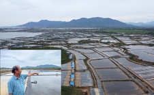 Thu hồi đất giá thấp để doanh nghiệp làm khu công nghiệp, diêm dân khiếu nại