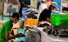 Nâng kỹ năng, ổn định việc làm