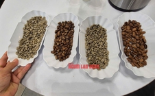 Giá cà phê hôm nay 16-6: Bao giờ xả kho?