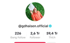 Chủ kênh TikTok "Gia đình Hải Sen" có 2,6 triệu người theo dõi bị bắt