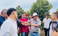 HAGL tuyển gấp 100 kỹ thuật viên sầu riêng với nhiều đãi ngộ hấp dẫn