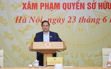 Thủ tướng: Tuyên chiến với hàng giả, mỗi ngày đều là cao điểm