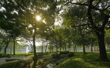 Gamuda Land: Dựng xây tương lai bền vững từ nền móng xanh