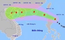 Bão Wipha có đường đi, hình dáng của Yagi