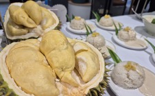 Giải mã sức hút buffet sầu riêng 199.000 đồng tại TP HCM