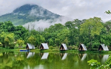 Quả ngọt đến từ sự chủ động