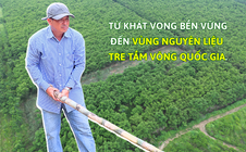 Ông Bùi Văn Đàm khẳng định giá trị tre tầm vông Bình Phước