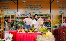 Không khí sôi động tại Lễ hội trái cây, ẩm thực Lâm Sơn dịp Quốc khánh