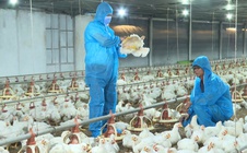 Kế hoạch bứt phá của Tây Ninh