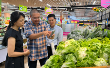 Sản phẩm tick xanh không ngừng gia tăng