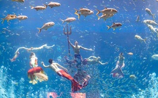 Trọn bộ trải nghiệm độc nhất biến Phú Quốc trở thành điểm đến nhất định phải thử mùa hè này