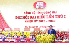 Đồng Nai đứng trước cơ hội lớn