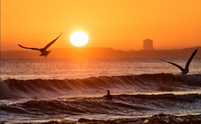 Đại dương thế giới lập kỷ lục đáng lo