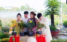 Hoa Tết “bùng nổ” trên TikTok Shop