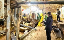 Người phụ nữ tử vong sau khi rơi vào máy nghiền rác 