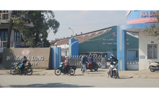 VIDEO: Tạm dừng sản xuất, hàng trăm công nhân vẫn đến Công ty CP đồ hộp Hạ Long