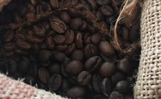 Giá cà phê hôm nay 13-1: Diễn biến trái chiều