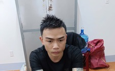 Gia Lai: Nhanh chóng làm rõ nhóm đối tượng dùng ô tô đi trộm gỗ