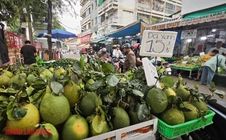 Giá bưởi da xanh bất ngờ rẻ ngay trước tháng Chạp