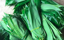 Những loại lá độc lạ ở Việt Nam xuất khẩu thu về triệu USD