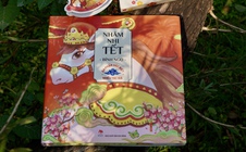 NXB Kim Đồng ra mắt ấn phẩm Tết