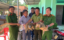 Người dân giao nộp rùa cá sấu quý hiếm