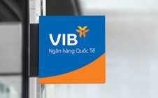 VIB: Lợi nhuận 2025 vượt 9.100 tỉ đồng, vững bước vào giai đoạn tăng trưởng mới