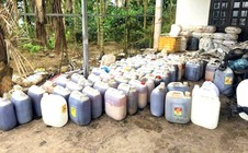 Thu giữ 2 tấn dầu ăn, mỡ heo bẩn sắp tuồn ra thị trường