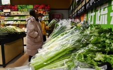 Dự báo mới về tăng trưởng kinh tế toàn cầu