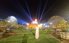 Cận cảnh những “tuyệt tác bạc tỉ” hội tụ tại thủ phủ mai vàng miền Trung