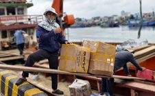 Mang xuân ra đảo tiền tiêu