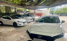 Thuê xe tự lái dịp Tết: Hết loại giá rẻ