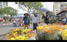 Theo chân tiểu thương mang Tết lên thành phố