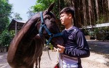 VIDEO: Thủ phủ chiến mã vang bóng một thời bây giờ ra sao?