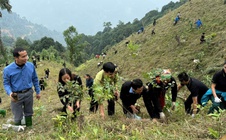 Cuộc thi "Tết xanh": Gieo mầm xanh khi xuân về