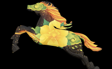 Lần đầu trình diễn mapping ngũ hành, Đường hoa TPHCM 2026 đón 1,8 triệu lượt khách