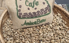 Giá cà phê hôm nay 23-2: Dự báo từ Tổ chức Cà phê quốc tế