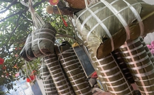 Cuộc thi "Tết Xanh": Câu chuyện chiếc lạt giang gói bánh chưng