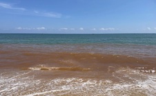 Nước biển ở Gia Lai bất ngờ đổi màu đỏ lạ, người dân lo ngại