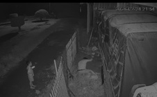 Đồng Tháp: Chồng đâm vợ bất chấp con nhỏ cầu xin "cha đừng xử lý mẹ"