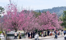 Lâm Đồng quyết tâm tăng trưởng 2 con số trong năm 2026