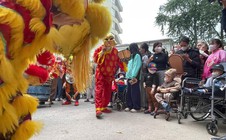 Mùa xuân trong bệnh viện