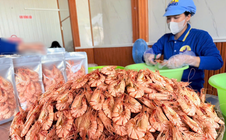 Cà Mau công nhận thêm nhiều sản phẩm OCOP