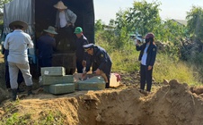 Phát hiện hơn 9.000 sản phẩm thực phẩm không rõ nguồn gốc