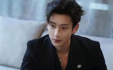 "Tổng tài" điển trai bị tố ngoại tình, bạo lực gia đình