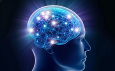 Phát hiện “công tắc" đảo ngược lão hóa