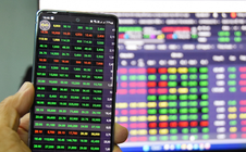 Nhiều nhà đầu tư phân vân có nên bán hết chứng khoán để nghỉ Tết?