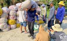 Tăng cường thu mua, tạm trữ lúa gạo