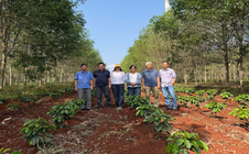 Giá cà phê hôm nay 17-3: Robusta hồi phục nhẹ, Arabica bật tăng mạnh