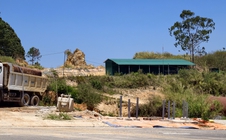 Hơn 2 thập kỷ mòn mỏi chờ đền bù